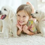 The Benefits of Pet Ownership